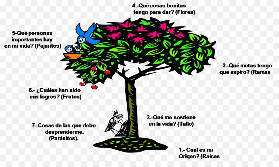 árbol De La Vida，árbol PNG