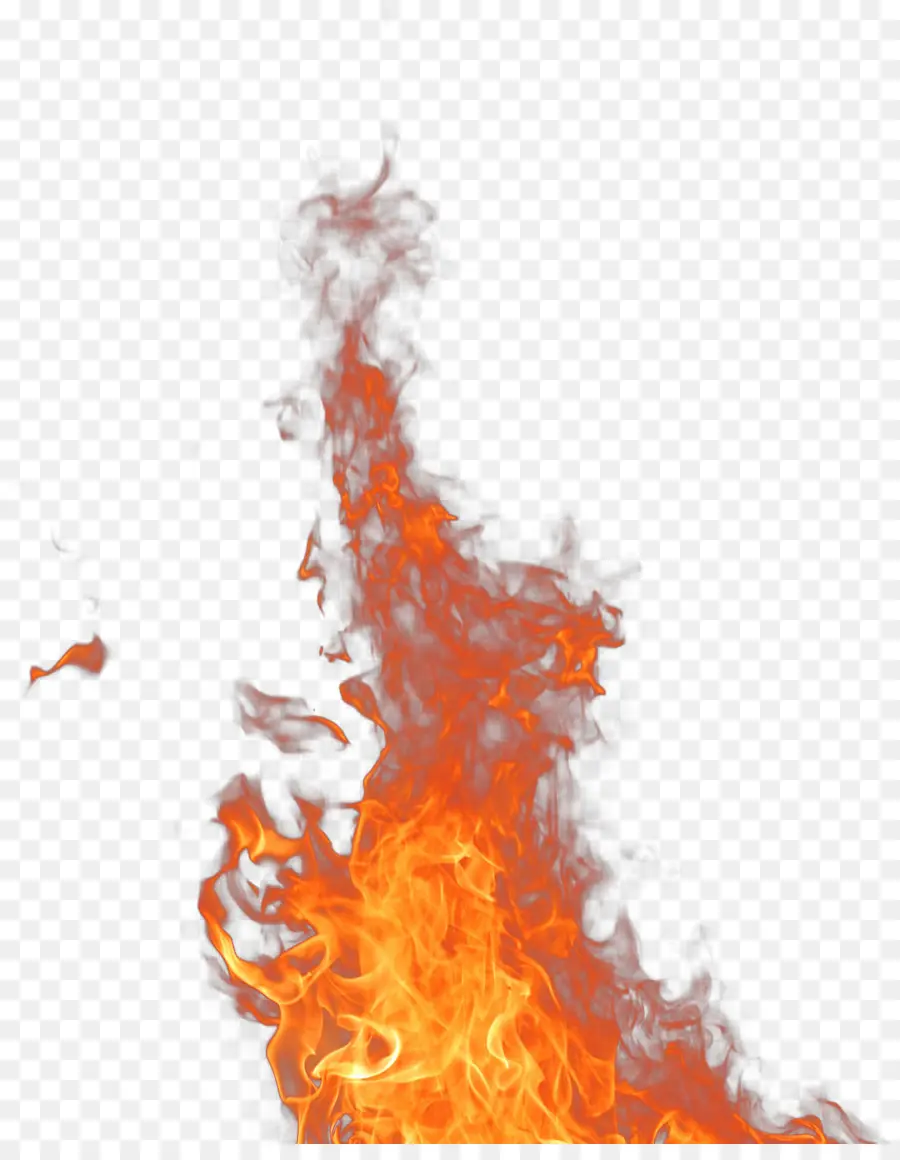 Llama，Fuego PNG