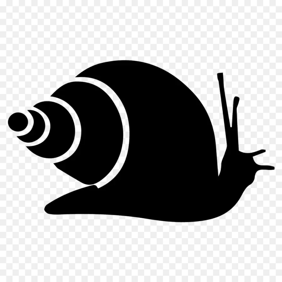 Caracol，Iconos De Equipo PNG