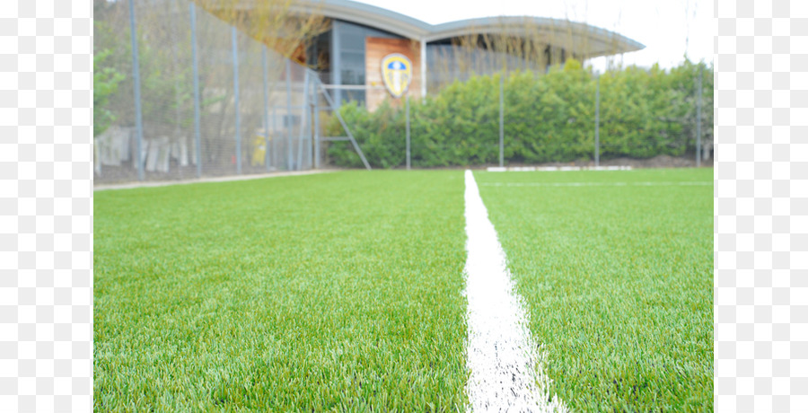 Leeds United Fc，Leeds United Fc Reserves And Youth Team PNG