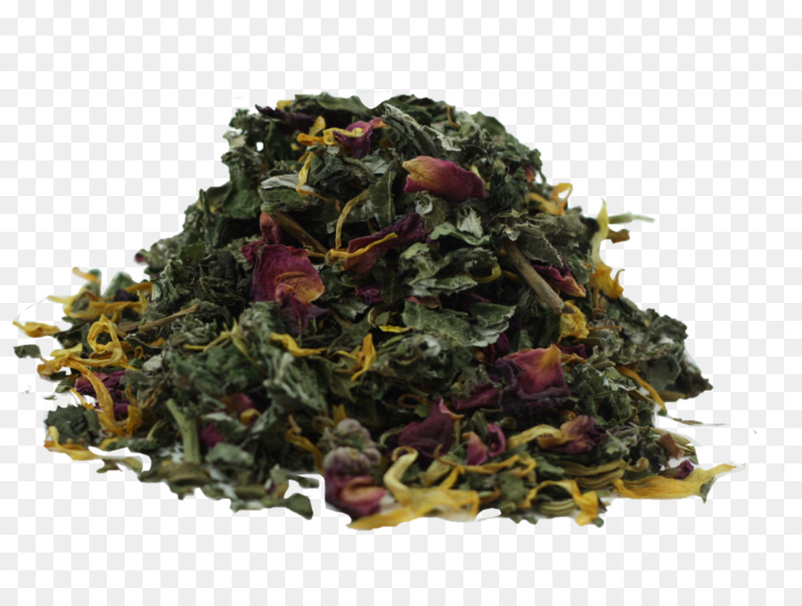 Oolong，Té PNG