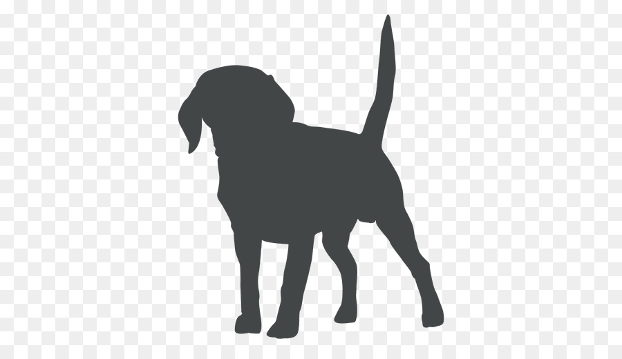 Perro，Cachorro PNG