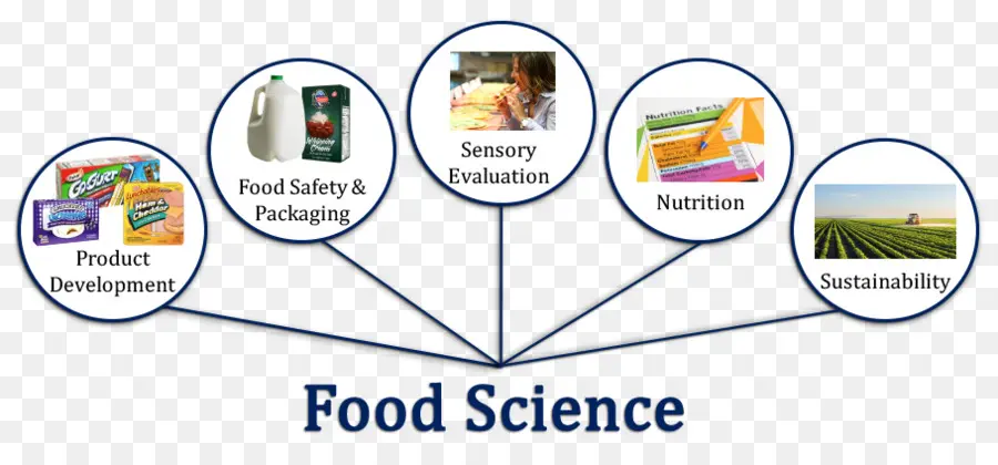 Ciencia De Los Alimentos，Nutrición PNG