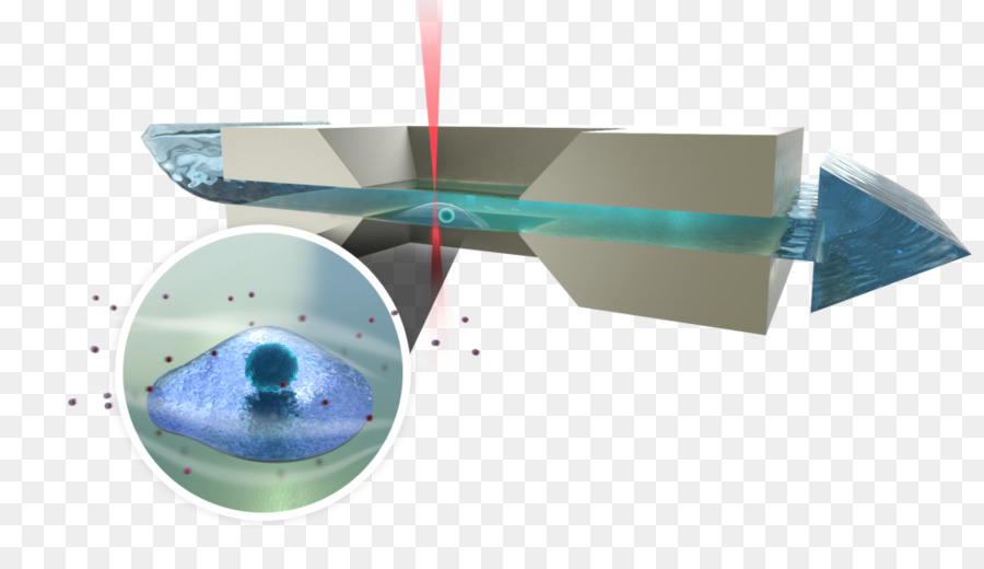 Biología，Microscopía Electrónica De Transmisión PNG