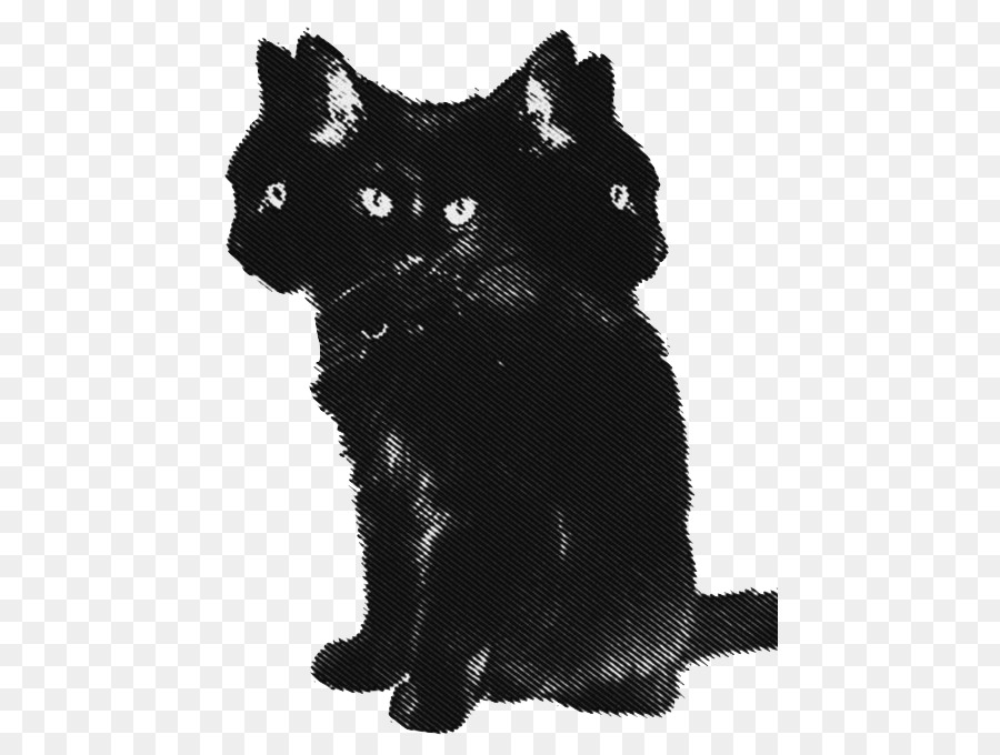 Gato，Gato Negro PNG