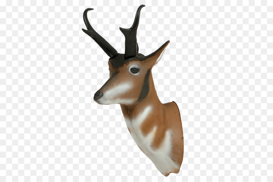 Springbok，Berrendo PNG