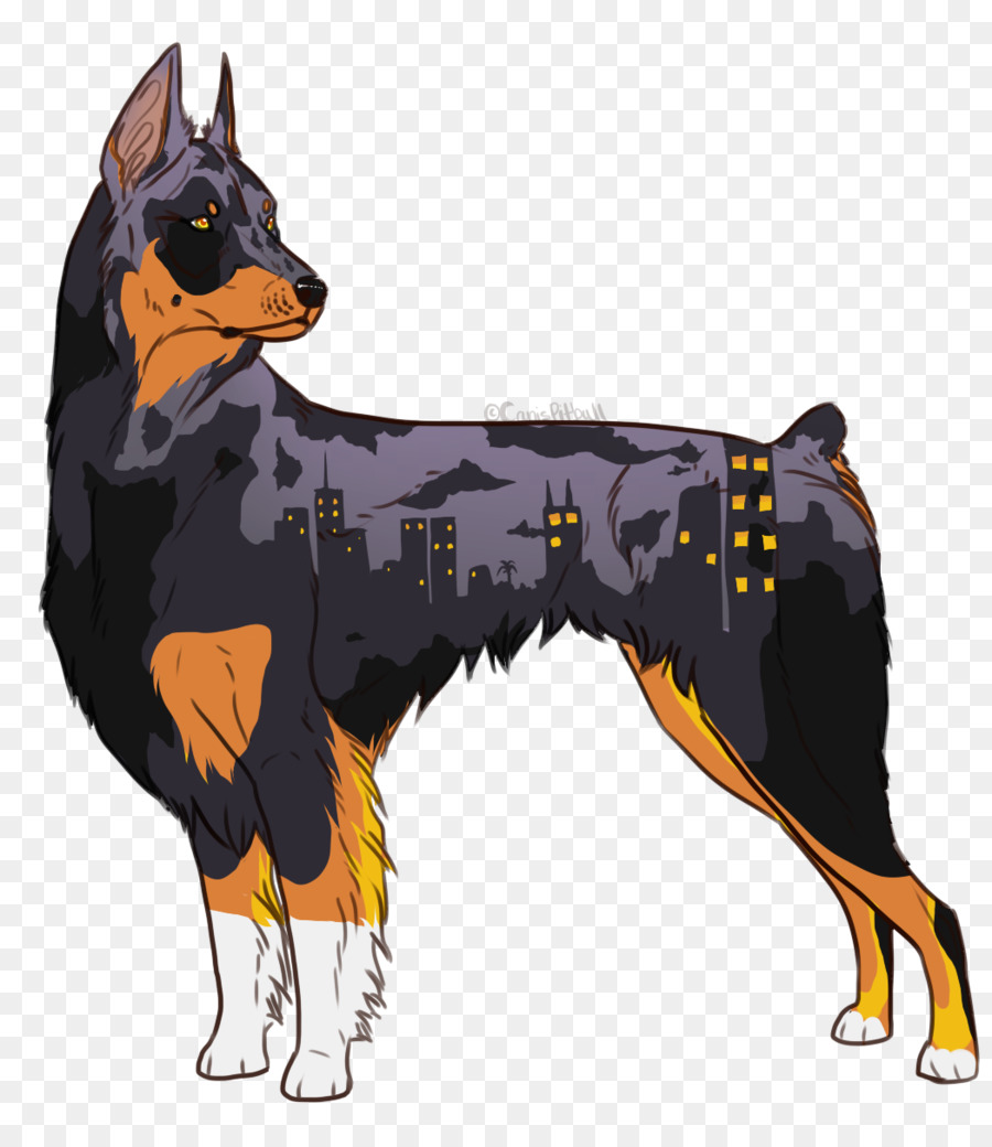 Ormskirk Terrier，Australian Kelpie PNG