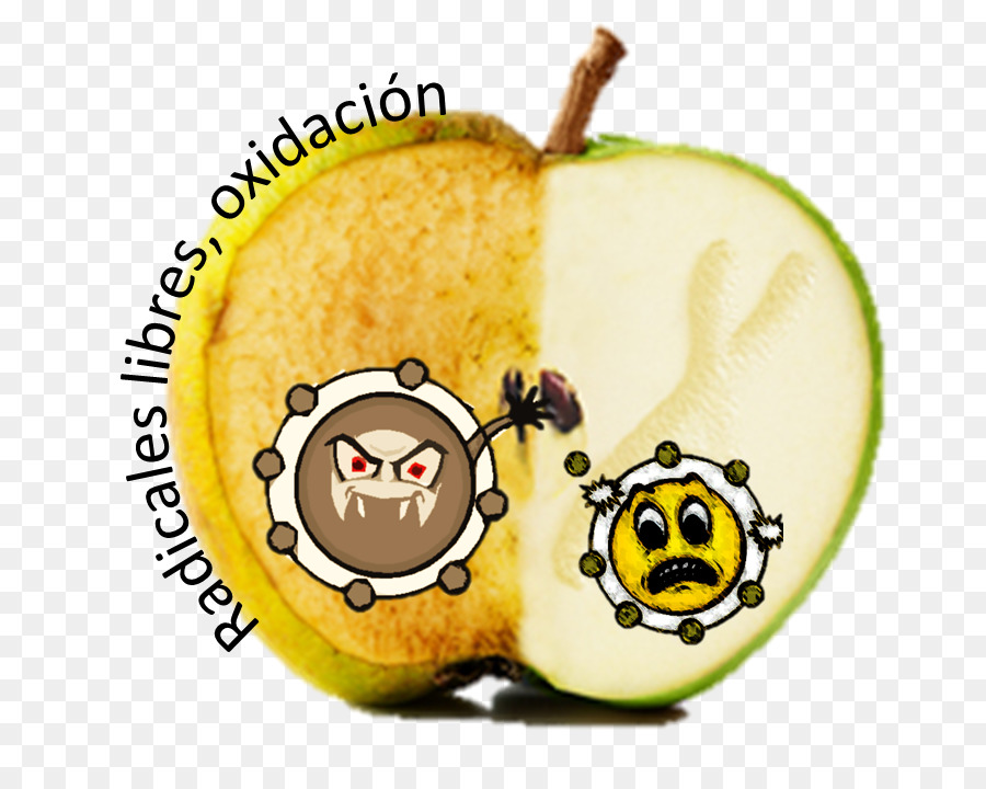 Apple，Cocina Vegetariana PNG