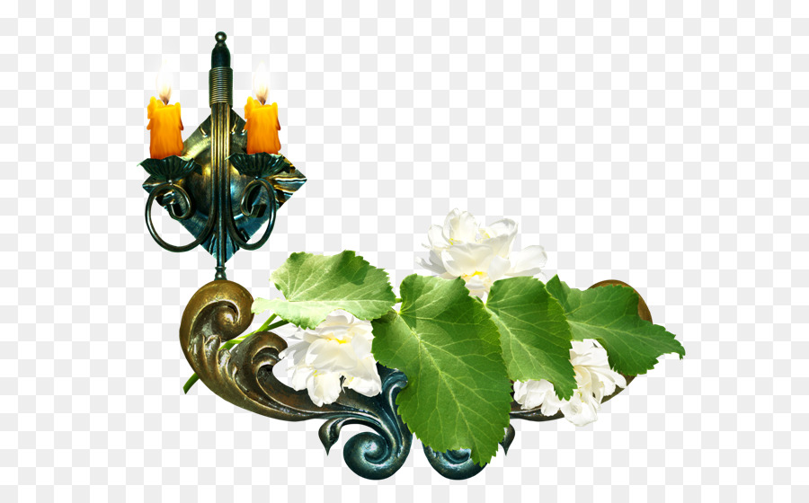 Software De Ordenador，Diseño Floral PNG