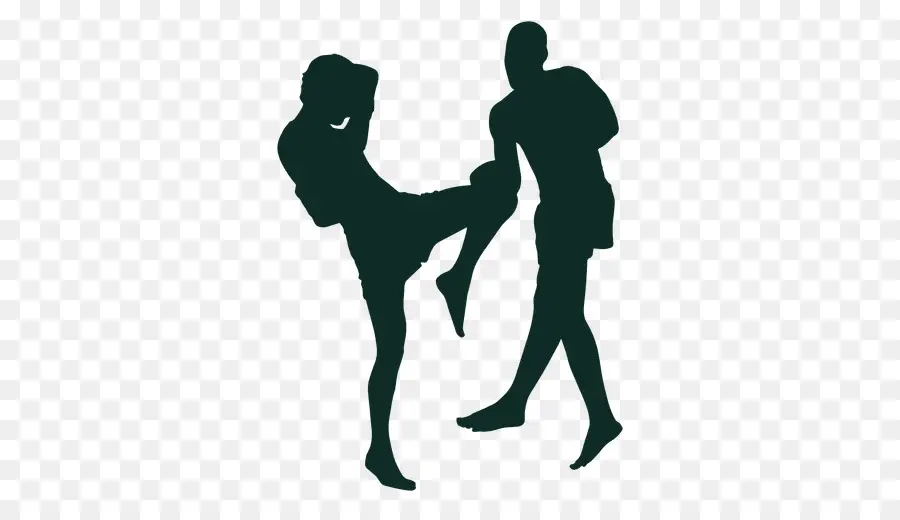 Silueta De Artes Marciales，Lucha PNG