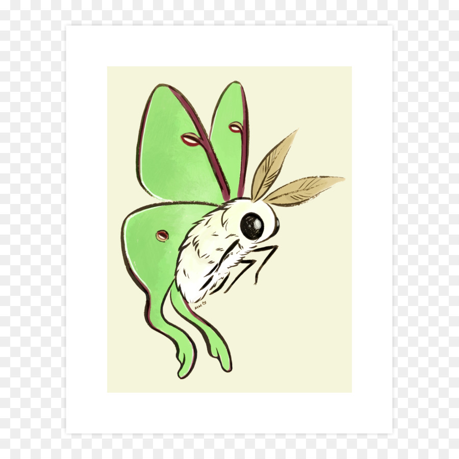 Mariposa，Luna Polilla PNG