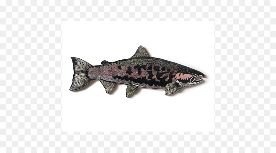 Salmón，El Salmón Coho PNG