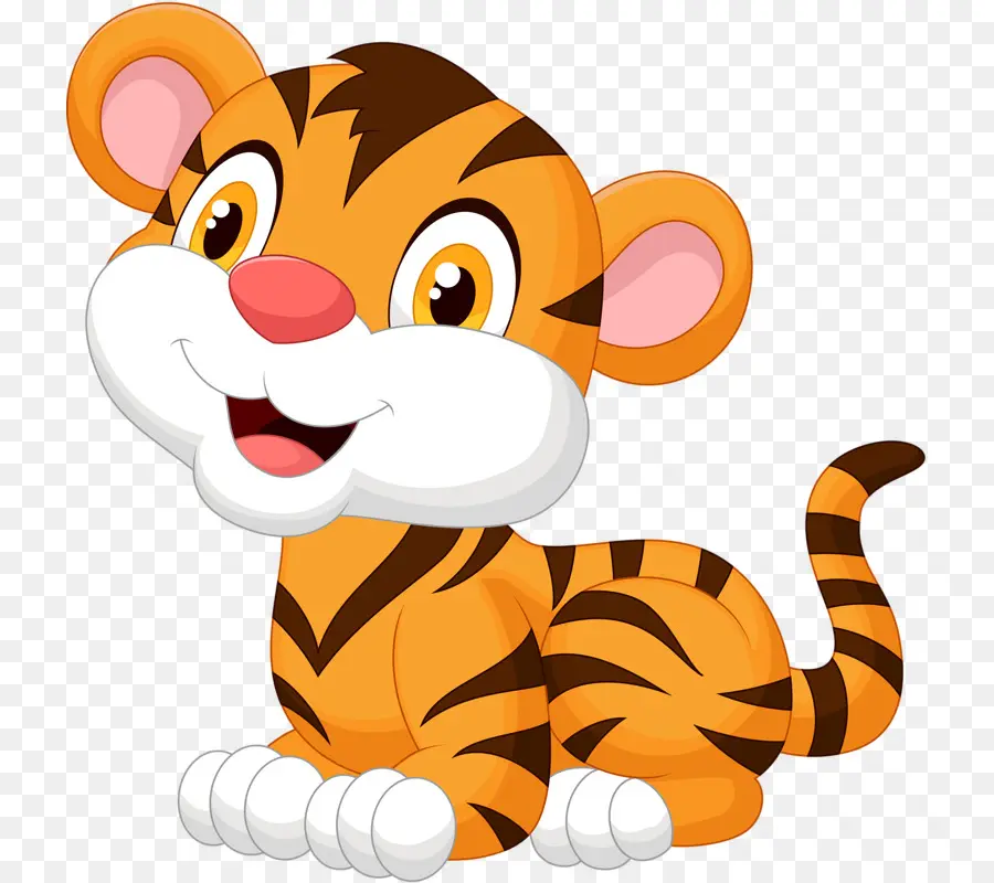 Tigre，Dibujo PNG