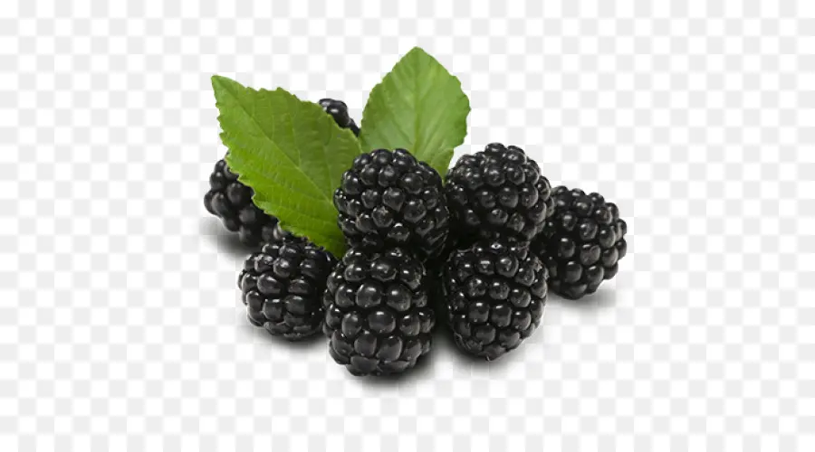 Moras，Hoja PNG