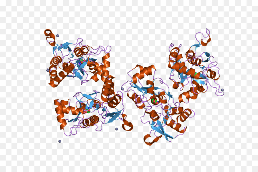 Receptor De Glutamato Ionotrópico，óxido Nítrico Sintasa PNG