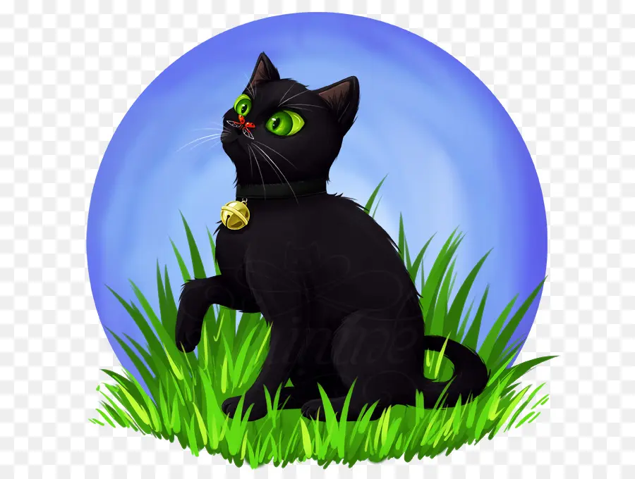 Gato Negro，Gato Doméstico De Pelo Corto PNG