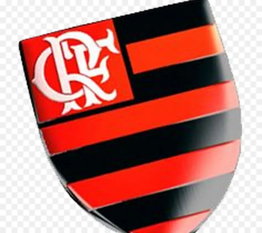 Clube De Regatas Do Flamengo，2009 Campeonato Brasileño De Serie A PNG