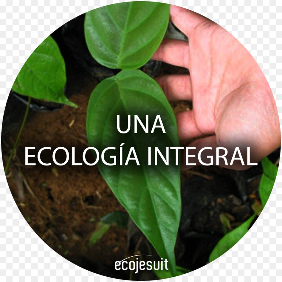 Laudato Si，Ecología PNG