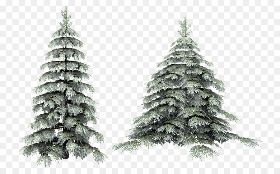 árbol，Fondo De Escritorio PNG