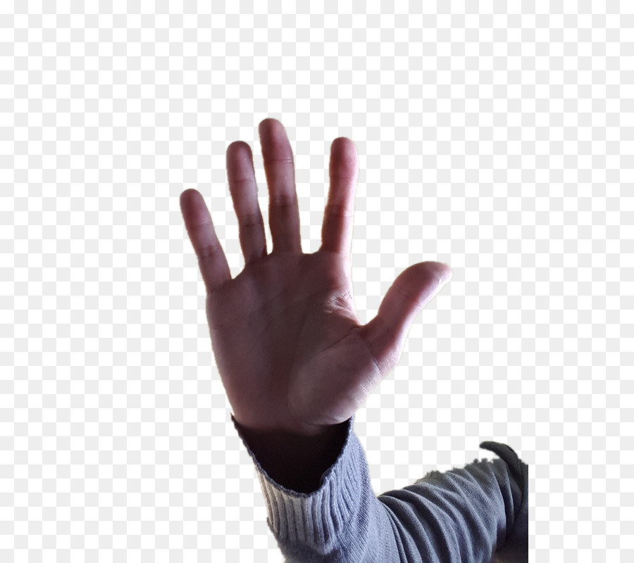 Pulgar，De La Mano De La Modelo PNG