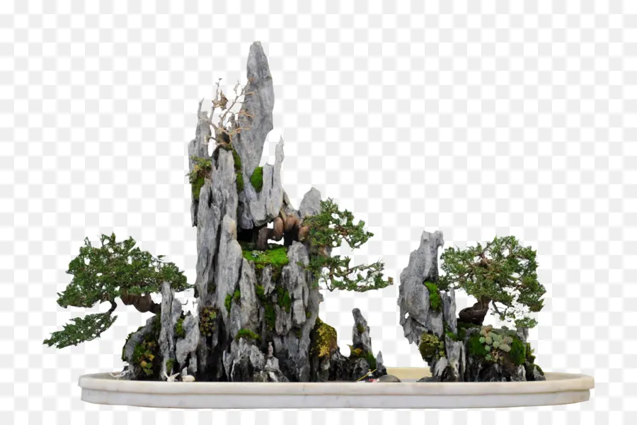 Penjing，Bonsai PNG