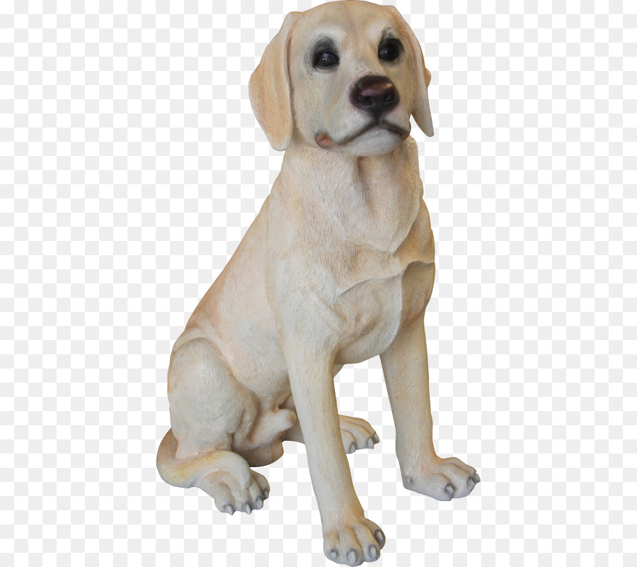 Labrador Retriever，Raza De Perro PNG