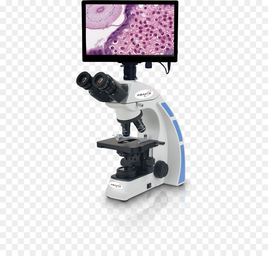 Accu ámbito Inc，Microscopía De Contraste De Fase PNG