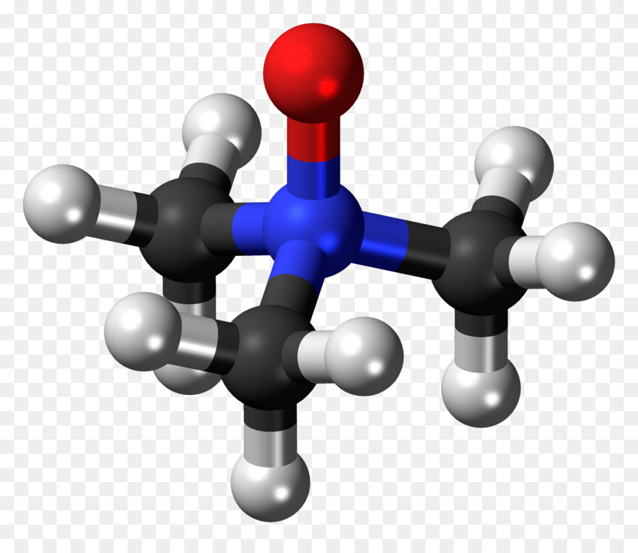 Trimetilamina Noxide，Trimetilamina PNG