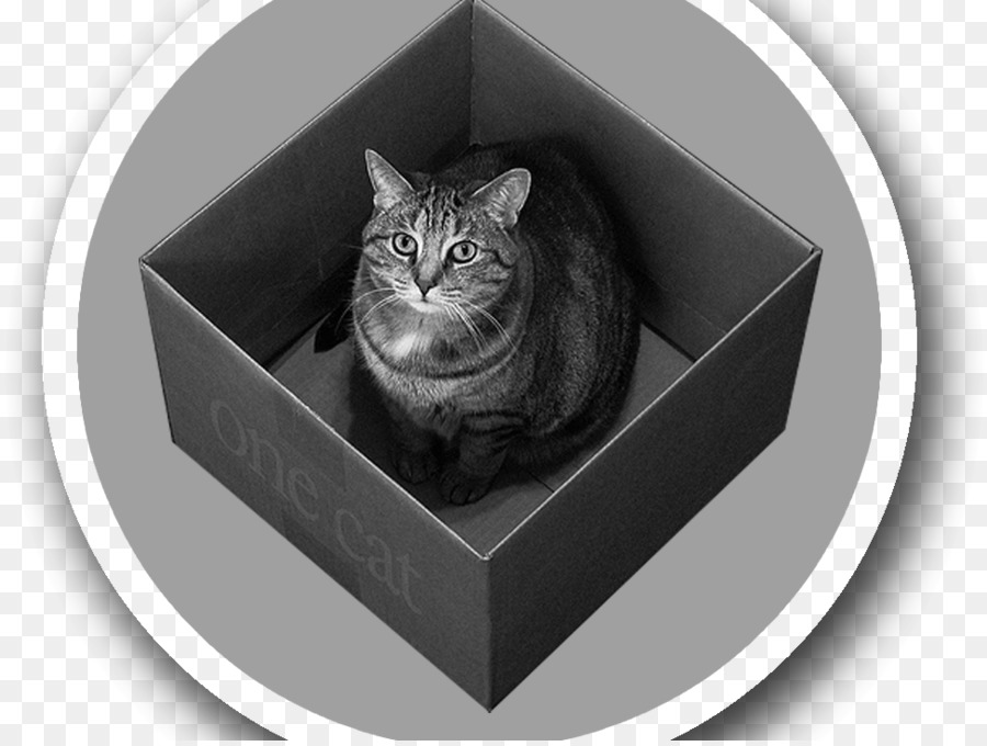 Quantum Mechanics，Schrödinger S Cat PNG