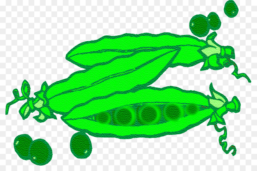 La Fruta，Pea PNG