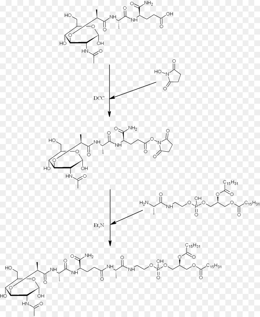 Diagrama De Reacción Química，Molécula PNG