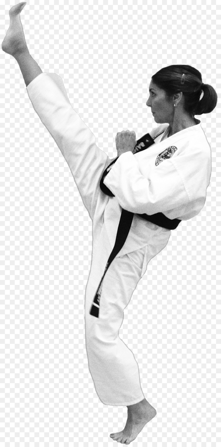 Dobok，El Taekkyeon PNG