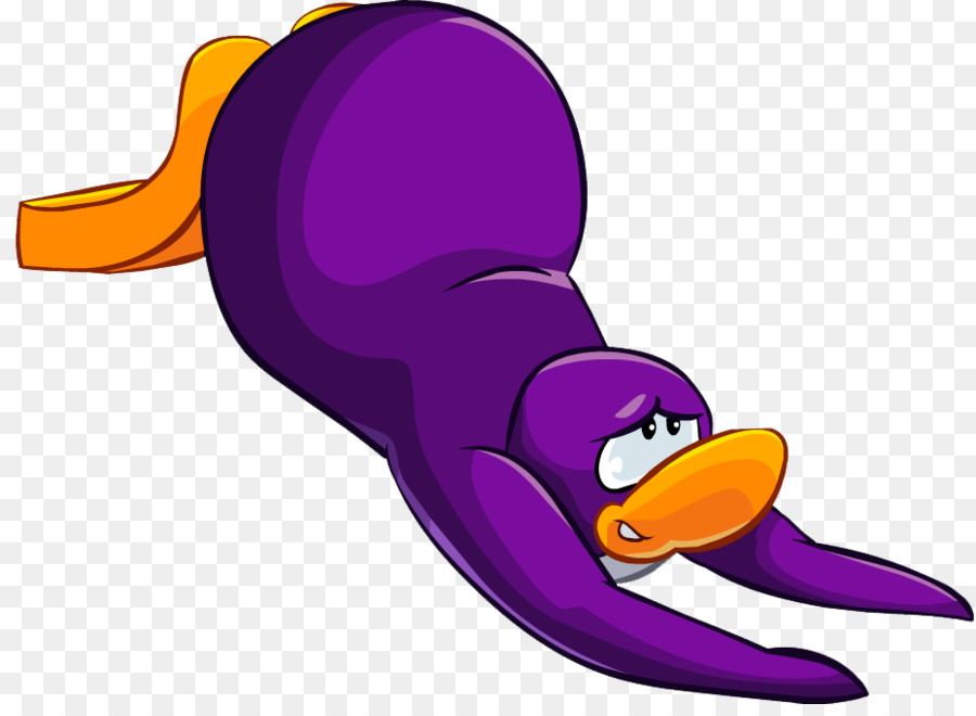 Penguin，Pato PNG