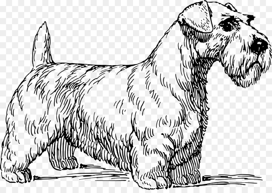 Terrier，Sealyham Terrier PNG