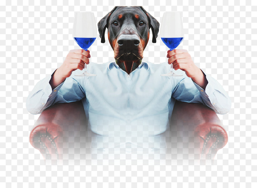 Vino，Bebida Destilada PNG