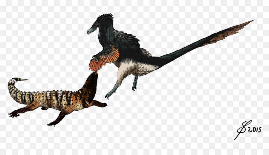 Velociraptor，Acheroraptor PNG