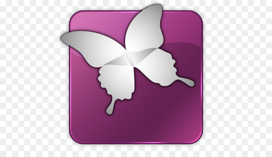 Adobe Indesign，Iconos De Equipo PNG