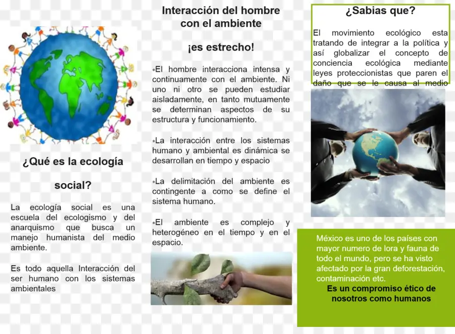 Ecología，Entorno Natural PNG