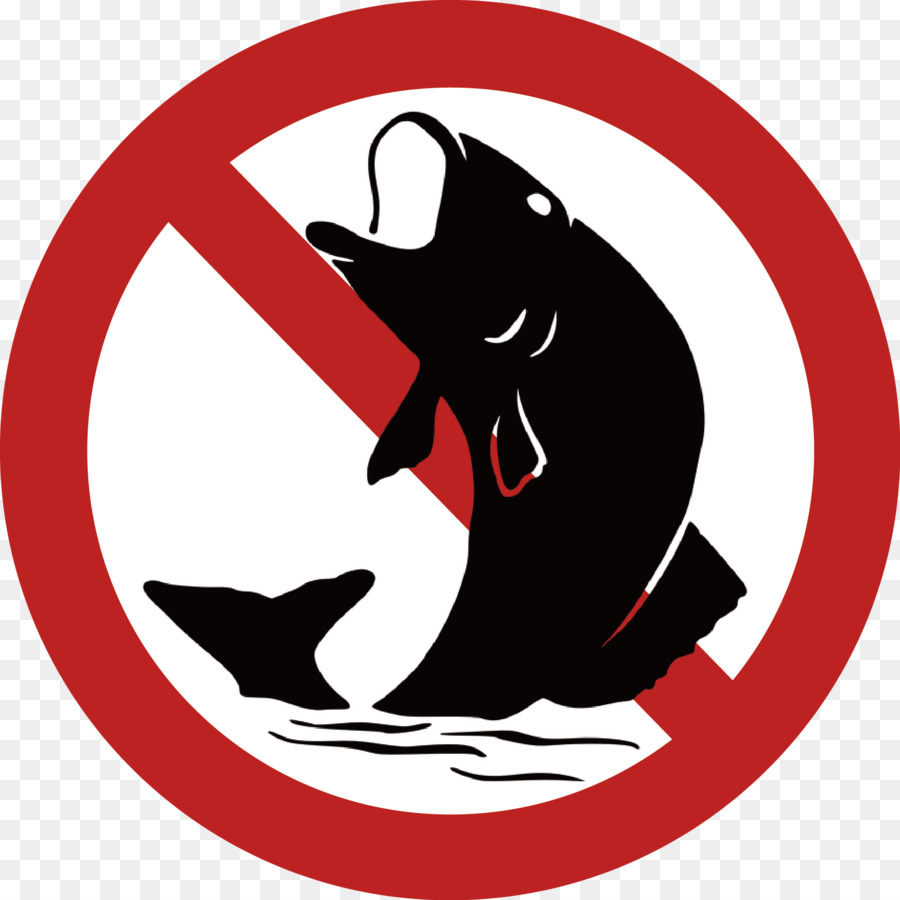 La Pesca，La Pesca Con Mosca PNG