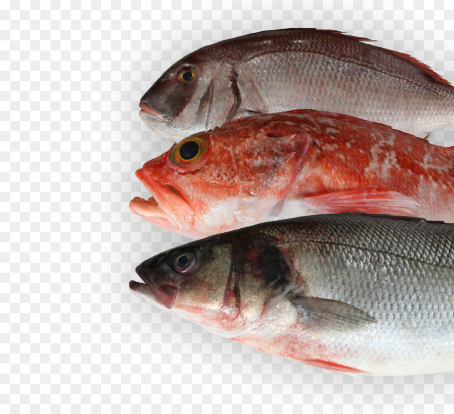 El Norte De Pargo Rojo，Los Productos De Pescado PNG