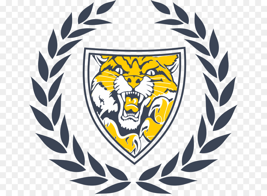 Neuqua Valley High School，La Escuela PNG