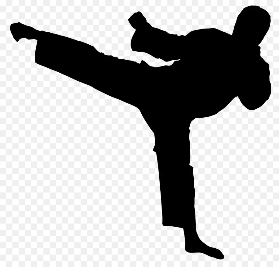 Las Artes Marciales，Karate PNG