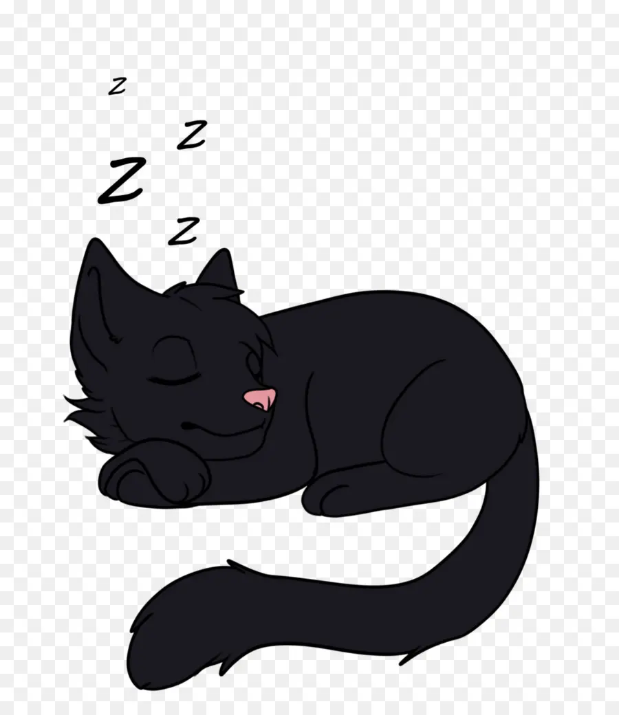 Gato Durmiendo，Gatito PNG