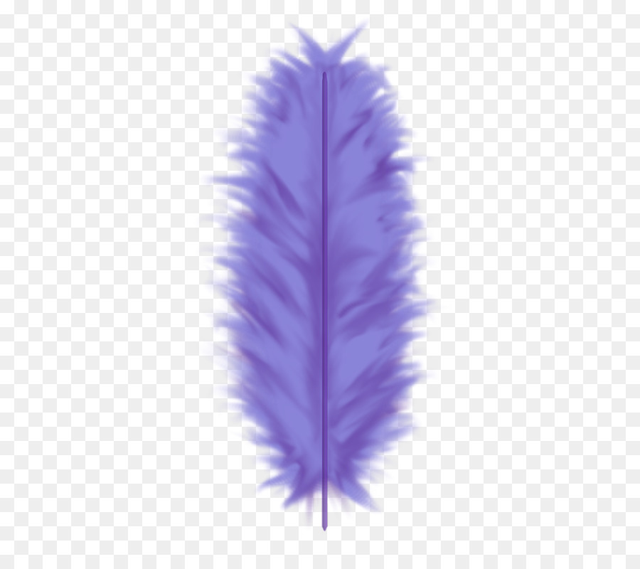 Pluma，Photoscape PNG