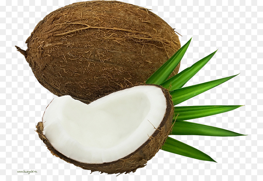 Agua De Coco，Coco PNG