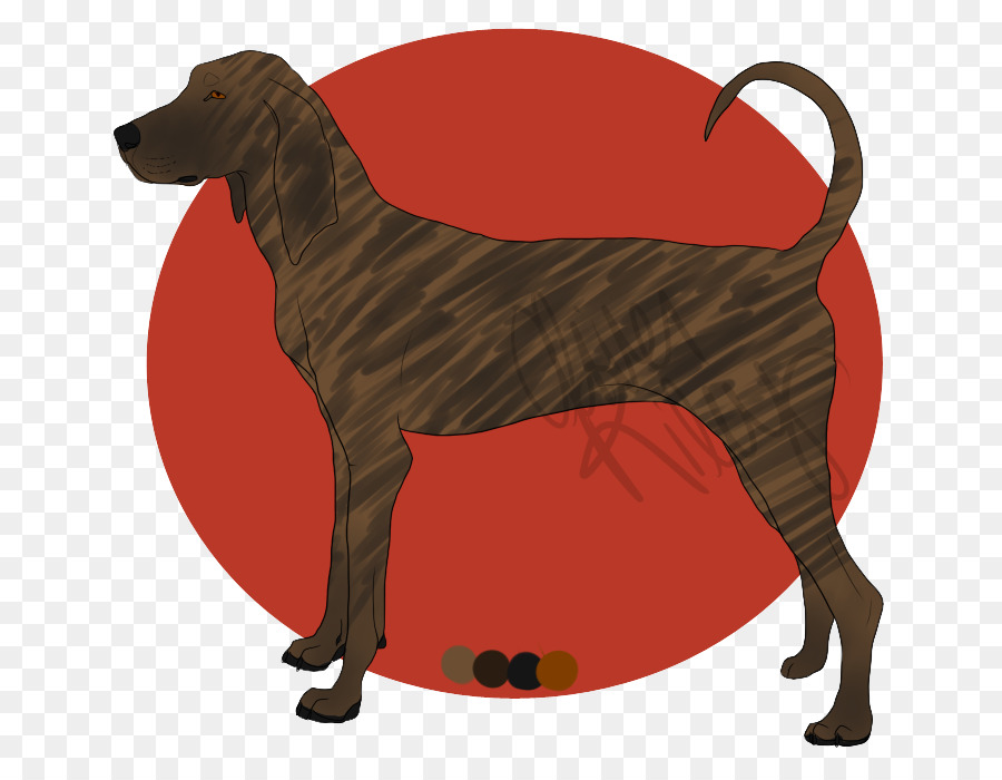 Raza De Perro，Plott Hound PNG