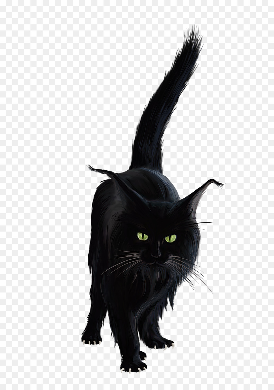 Gato Siames，Gato Negro PNG