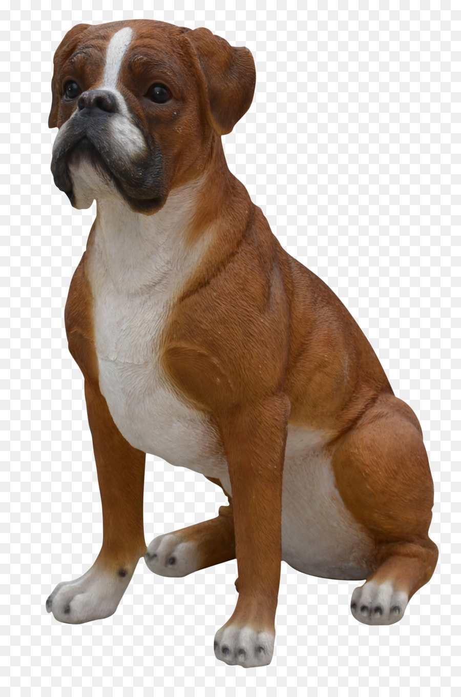 Bulldog Del Valle，Boxer PNG