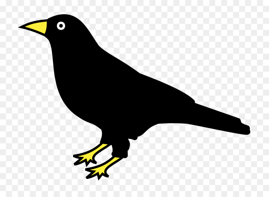 Raven，Dibujo PNG