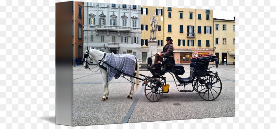 Transporte，Los Arneses De Caballo PNG